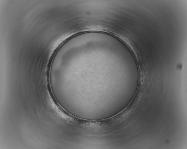 X0000111040995200907091605