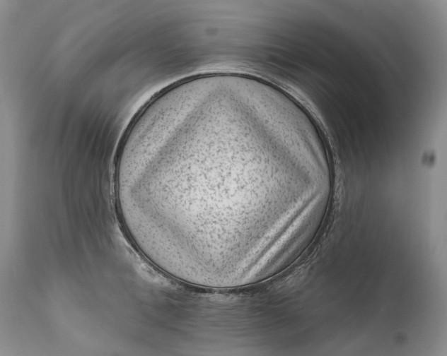 X0000111040996200907091605