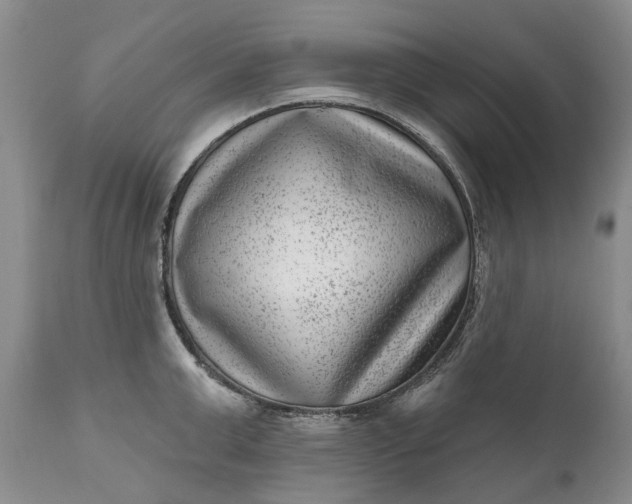 X0000111040999200907091605