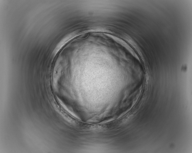 X0000111041002200907091605