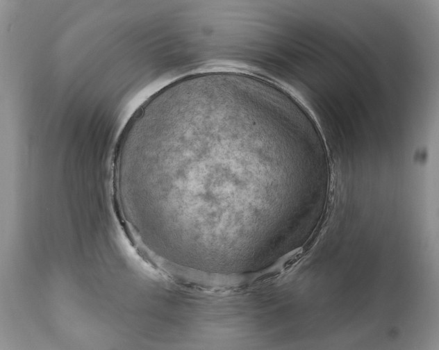 X0000111041003200907091605