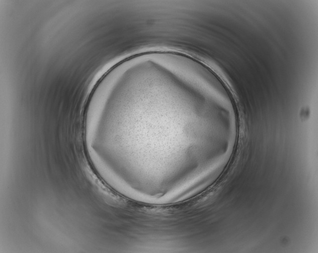 X0000111041004200907091605