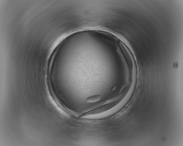 X0000111041005200907091605