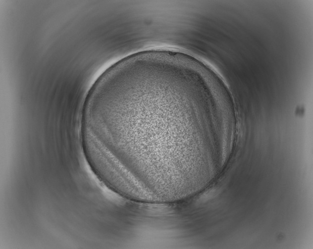 X0000111041007200907091605