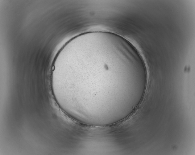 X0000111041008200907091605