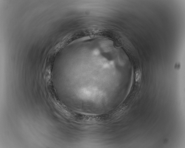 X0000111041011200907091604