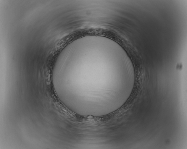 X0000111041013200907091604