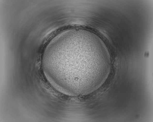 X0000111041015200907091604