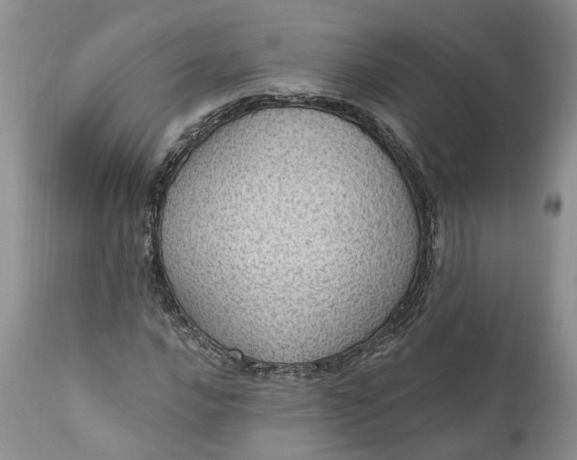 X0000111041016200907091604