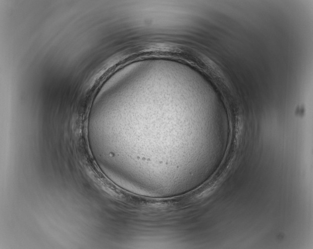 X0000111041017200907091604