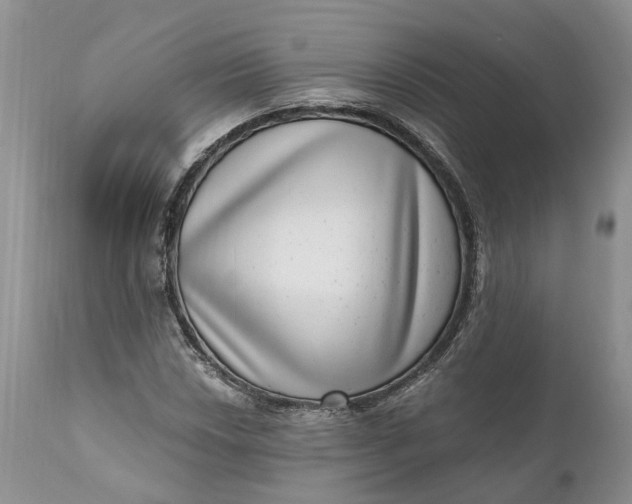 X0000111041018200907091604