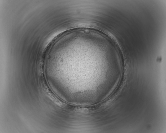 X0000111041019200907091604