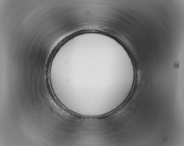 X0000111041020200907091604