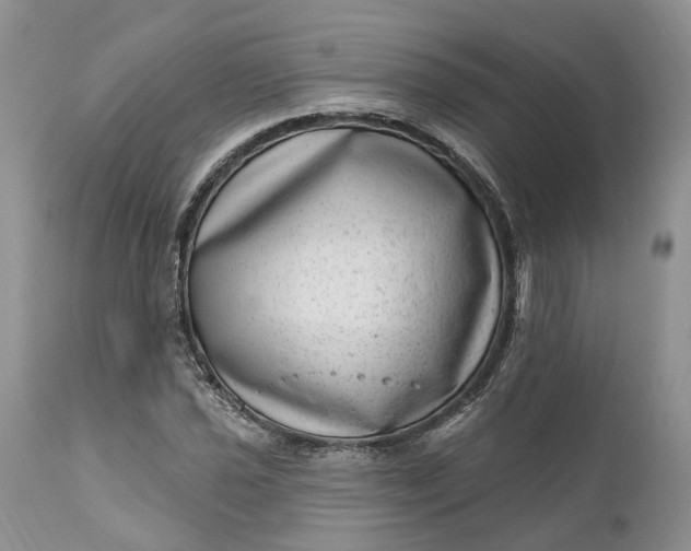 X0000111041021200907091604