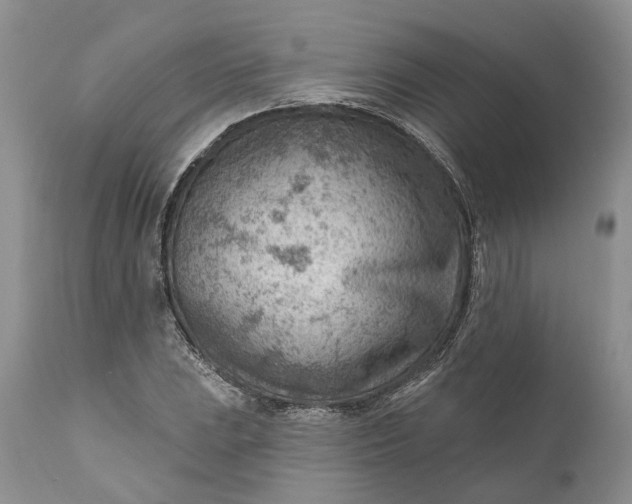 X0000111041023200907091604