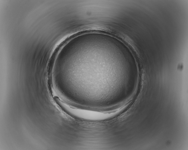 X0000111041024200907091604