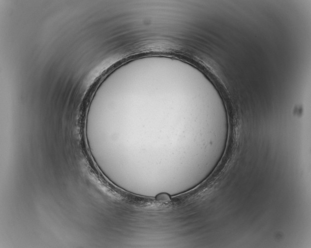 X0000111041026200907091604