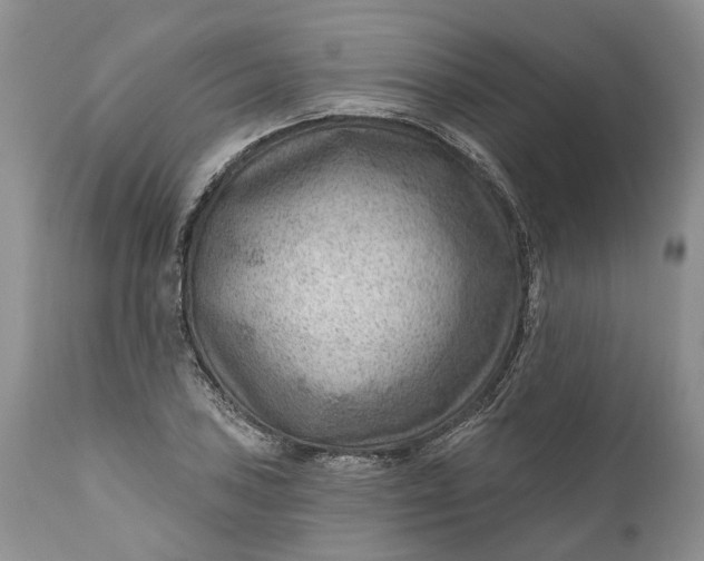 X0000111041027200907091604