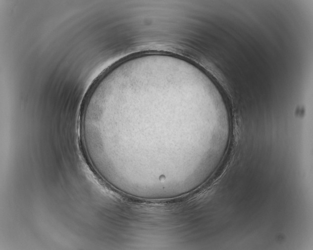 X0000111041028200907091604