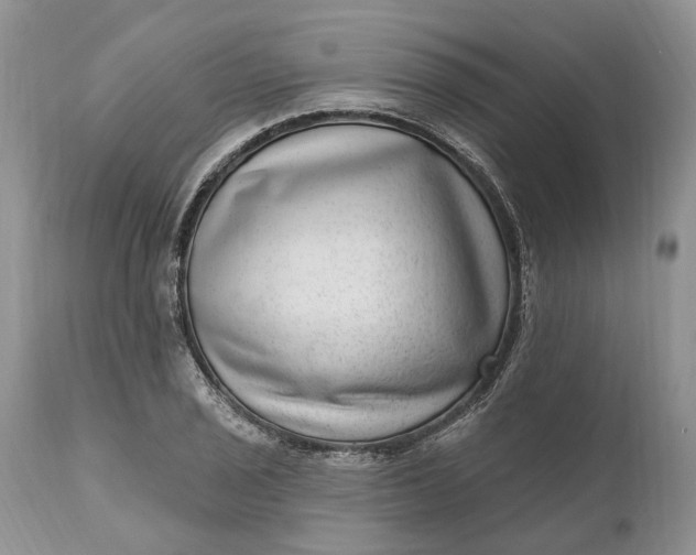 X0000111041029200907091604