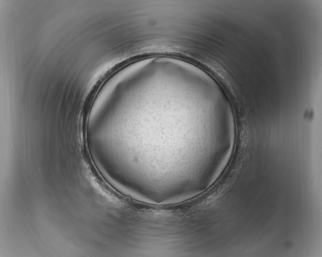 X0000111041030200907091604