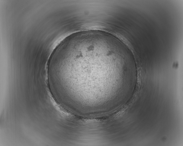 X0000111041031200907091604