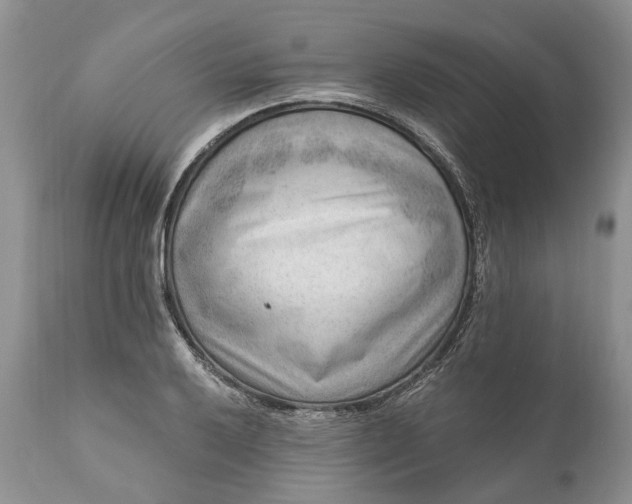 X0000111041032200907091604