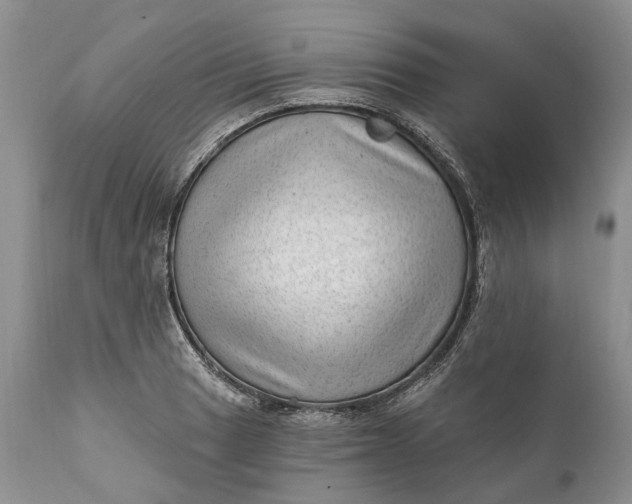 X0000111041033200907091604