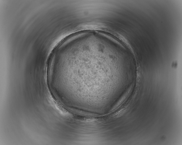 X0000111041035200907091604