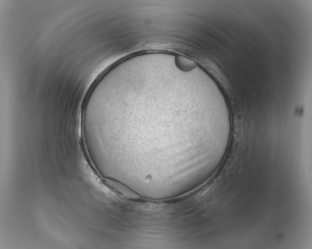 X0000111041036200907091604