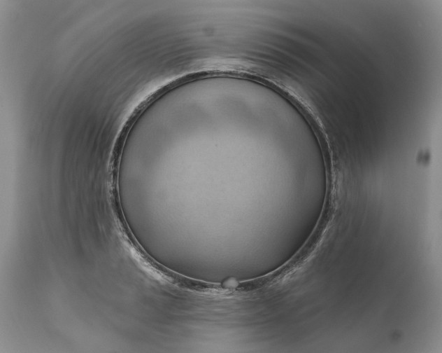 X0000111041037200907091604