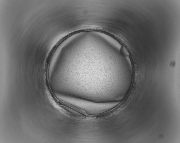 X0000111041038200907091604