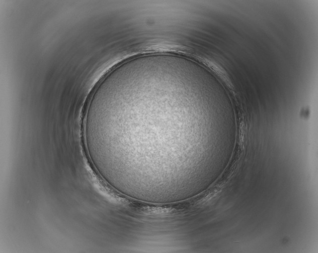 X0000111041039200907091604