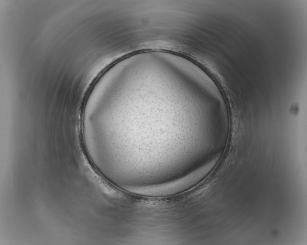 X0000111041040200907091604