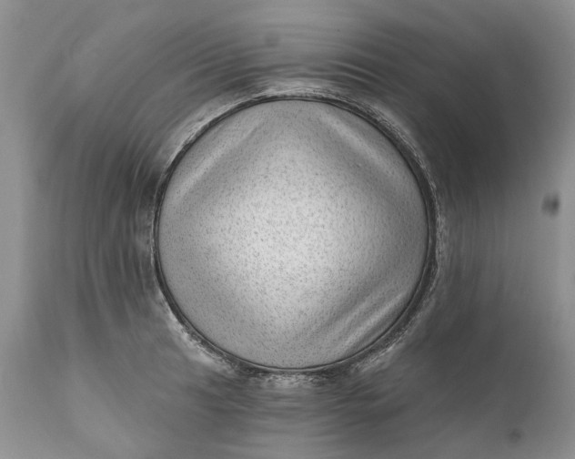 X0000111041041200907091604