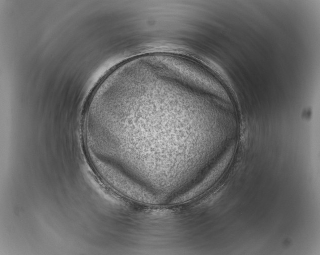 X0000111041043200907091604