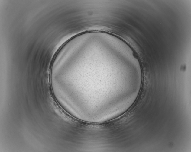 X0000111041044200907091604