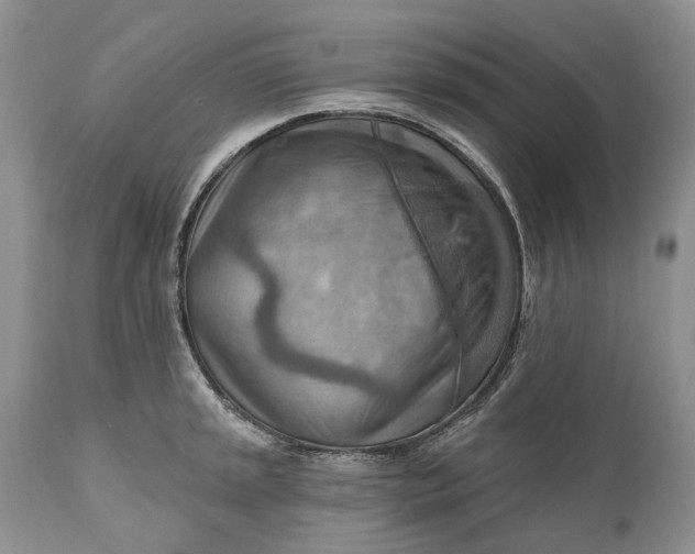 X0000111041045200907091604