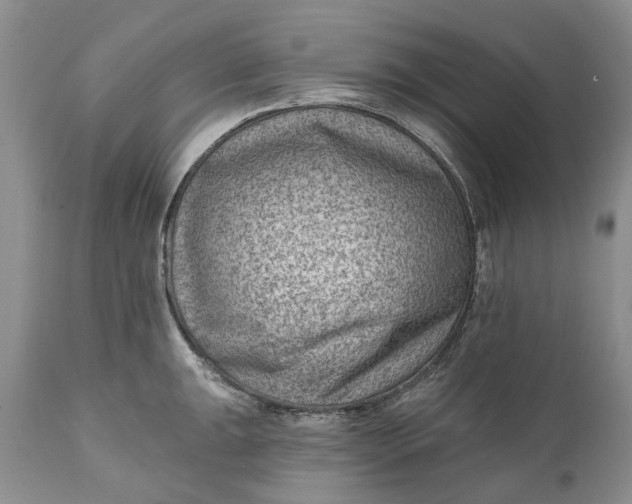 X0000111041047200907091604