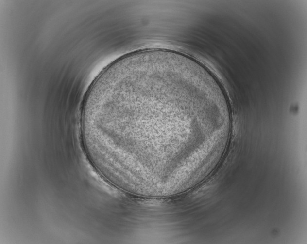 X0000111041048200907091604