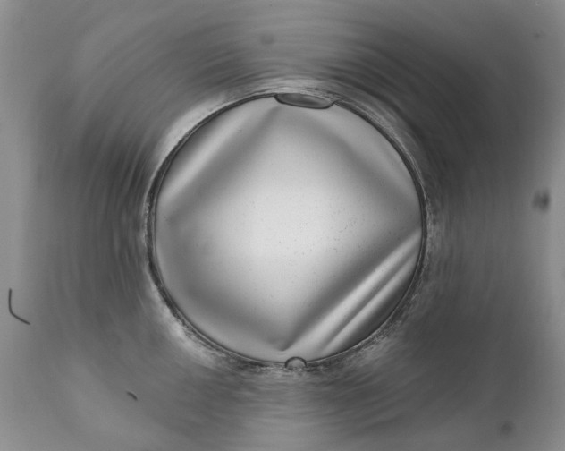 X0000111041050200907091604