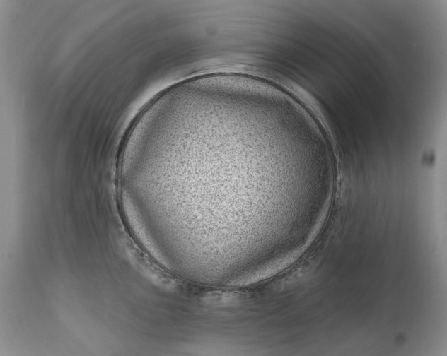 X0000111041051200907091604