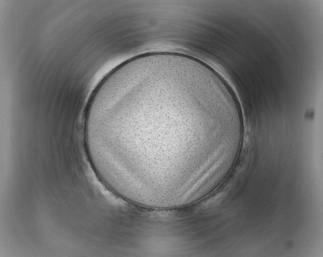 X0000111041053200907091605