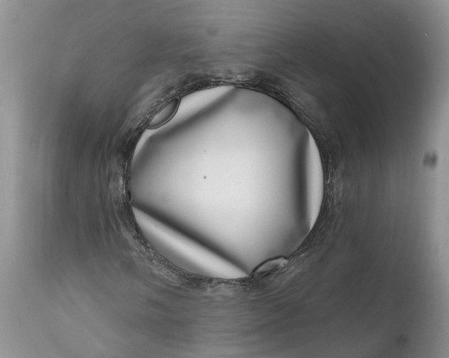 X0000111041058200907091604