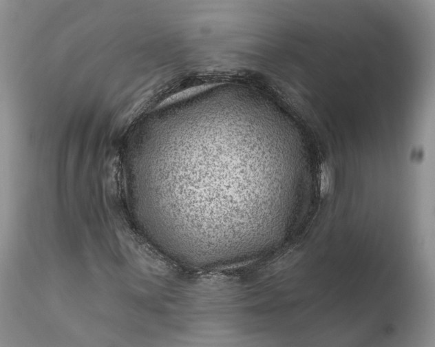 X0000111041059200907091604