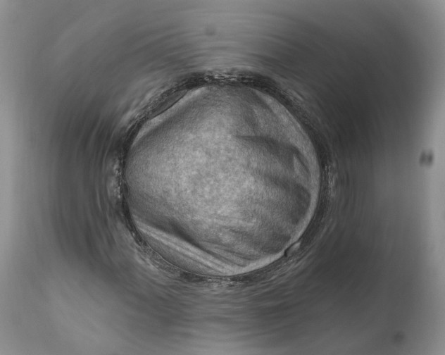 X0000111041060200907091604