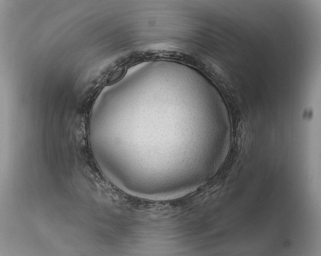 X0000111041062200907091604