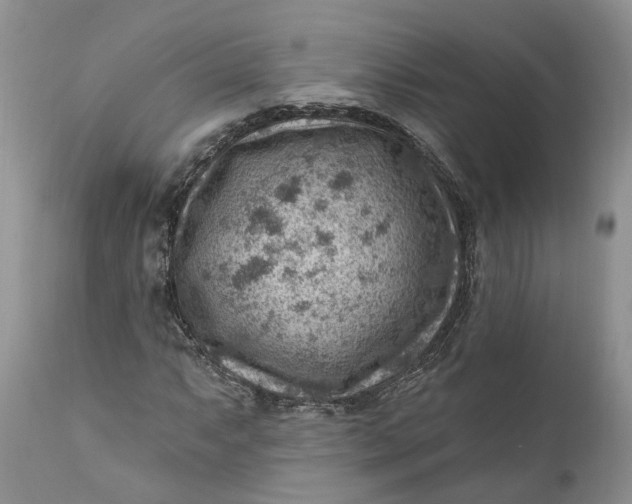 X0000111041063200907091604