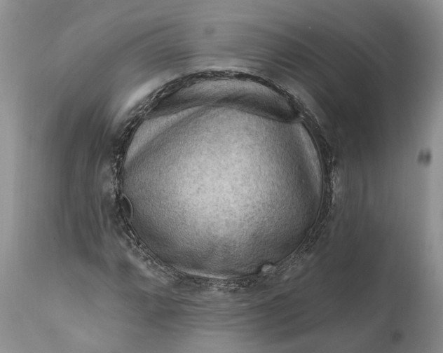 X0000111041064200907091604