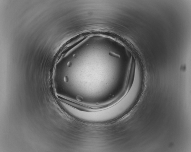 X0000111041065200907091604